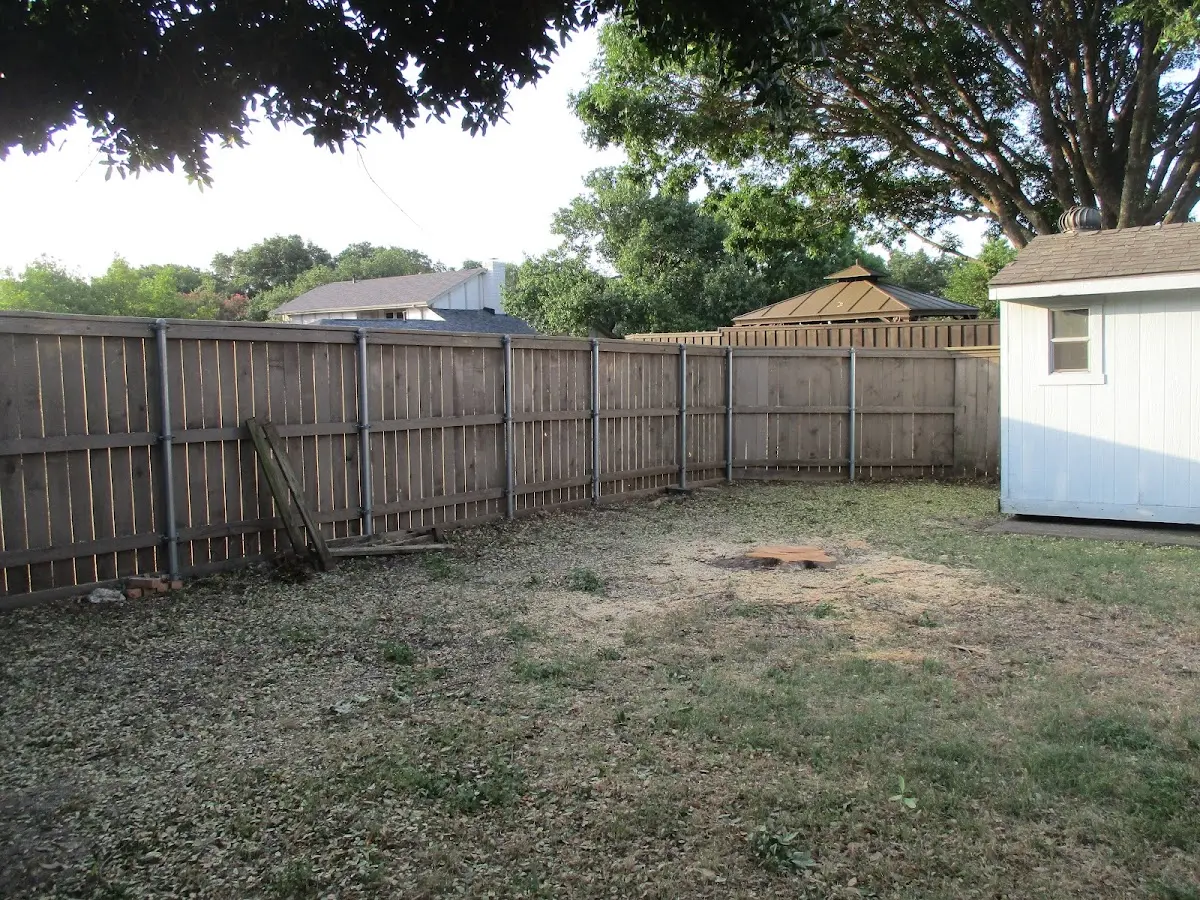 Cleared yard after professional tree removal in Selman City
